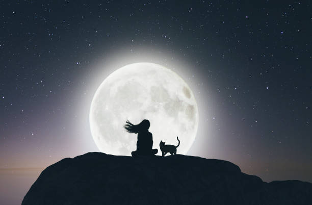 Girl with the cat on the cliff looking to the moon stock photo