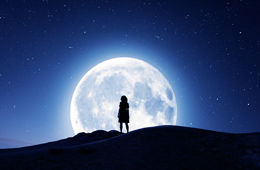 Girl looking at the moon in starry night,3d rendering