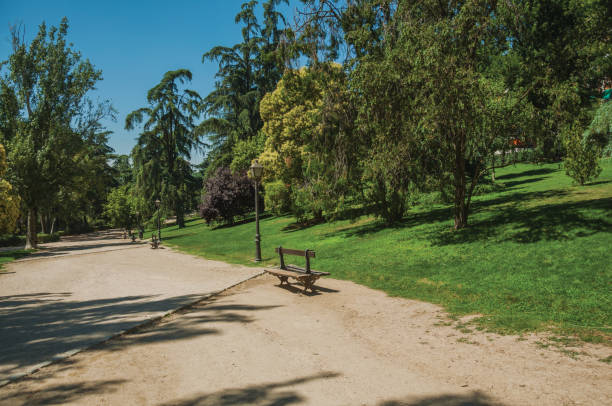 istock Dirt pathway passing through trees in a garden of Madrid 1131797926