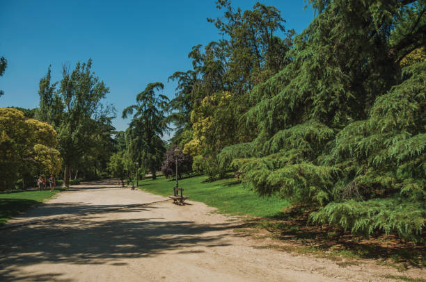 istock Dirt pathway passing through trees in a garden of Madrid 1131798226
