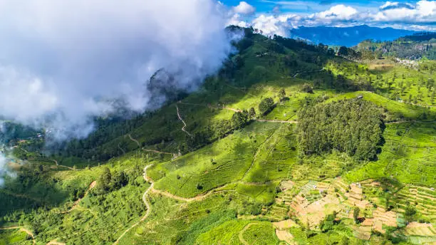 Photo of Aerial. Famous green tea plantation landscape view from Lipton's Seat, Haputale, Sri Lanka.
