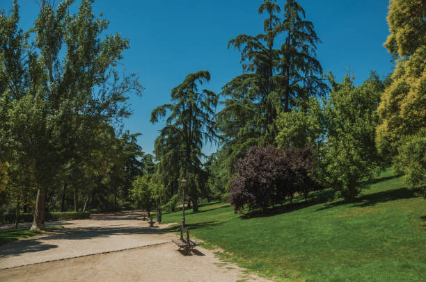 istock Dirt pathway passing through trees in a garden of Madrid 1131803479