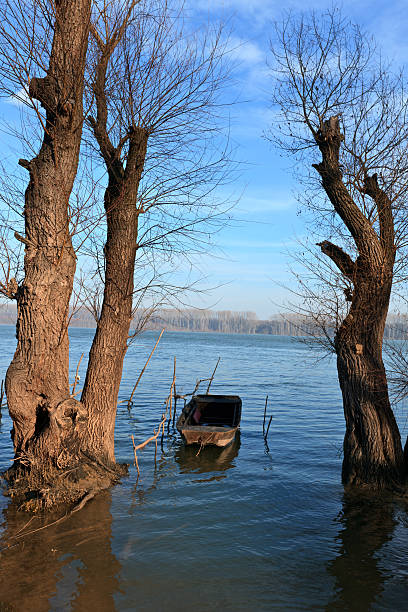 istock Banks of the Danube River 113180389