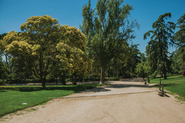 istock Dirt pathway passing through trees in a garden of Madrid 1131805695