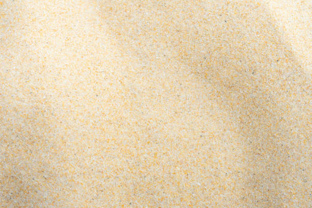 Close up of coffee beans drying in the sun