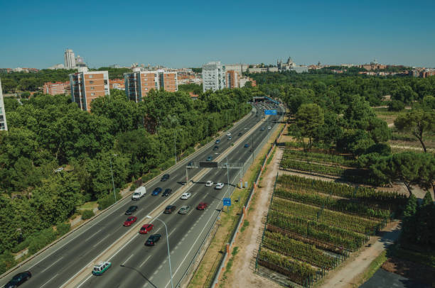 istock Highway with heavy traffic and trees in Madrid 1131809783