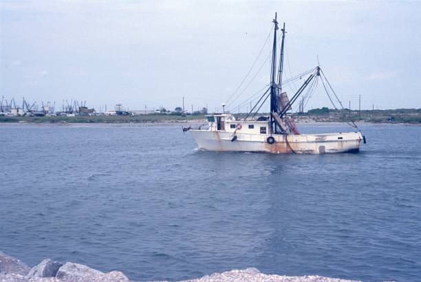 istock Trawler / Shrimp cutter, Florida 1131810726