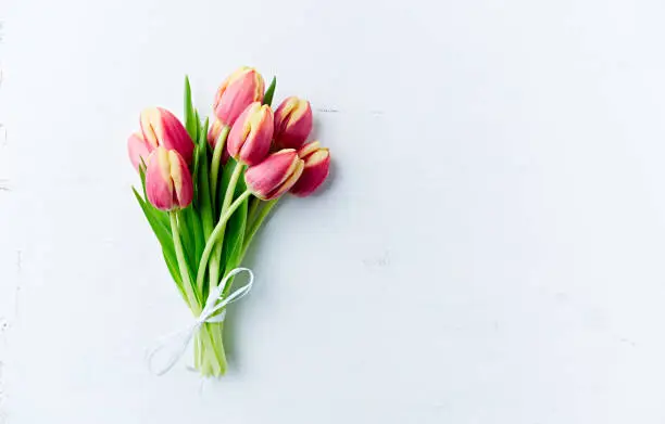 Photo of Spring tulips on white painted wooden background. Flat lay. Copy space