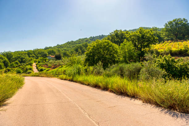 istock summer landscape over the hills in Val D'Agri, Basilicata 1131810869