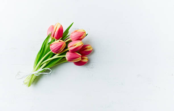 istock Spring tulips on white painted wooden background. Flat lay. Copy space 1131810872