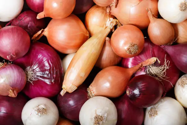 fresh colorful onions as background, top view