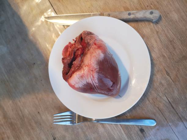 сердце свиньи, анатомия, орган - human artery animal artery human heart blood стоковые фото и изображения