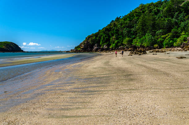 istock Tropischer Cape Hillborough National Park 1131812804