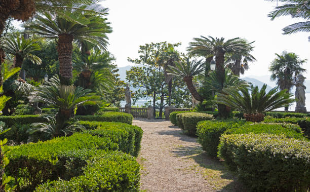 Parkland and trees on the Mediterranean coast