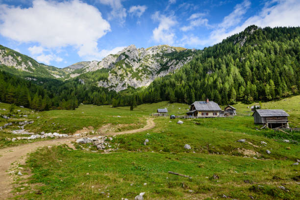 istock Beautiful mountain landscape 1131813760