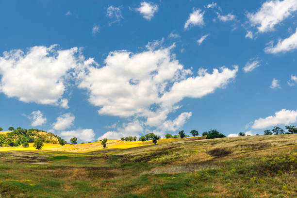istock summer landscape in Val D'Agri, Basilicata 1131815342