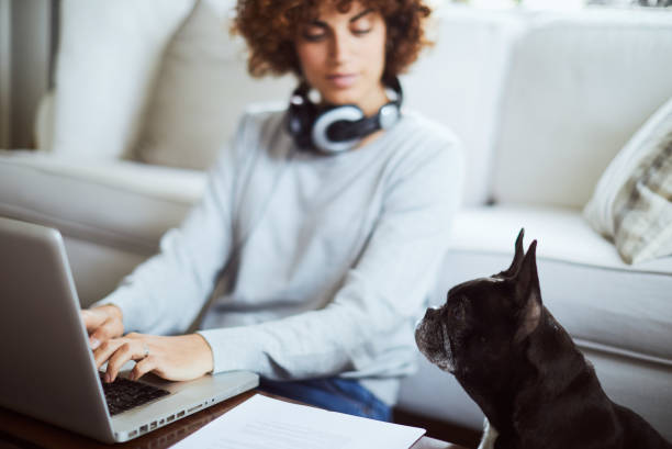 one woman working from home. - spanish culture audio imagens e fotografias de stock