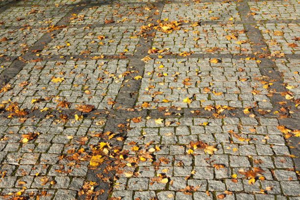 istock Colorful autumn maple leaves on walkway in Finland 1131816933