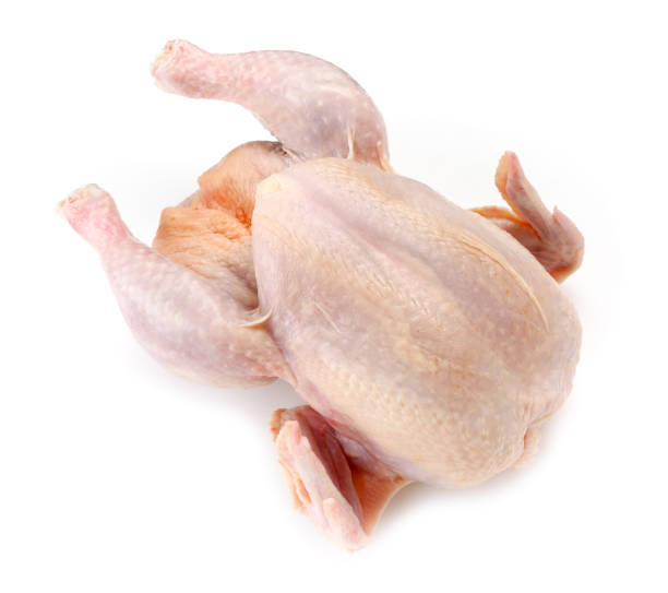 istock Chicken carcass or broiler chicken isolated on white background 1131816975