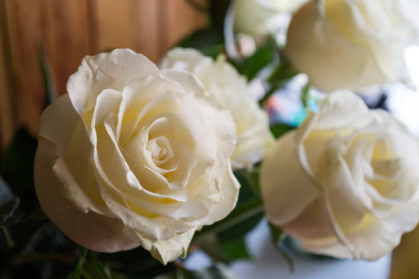 istock Bouquet of white roses. 1131817802