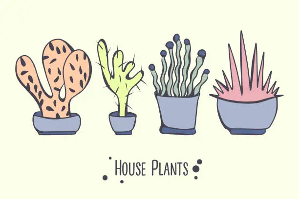 Vector illustration of House plants color