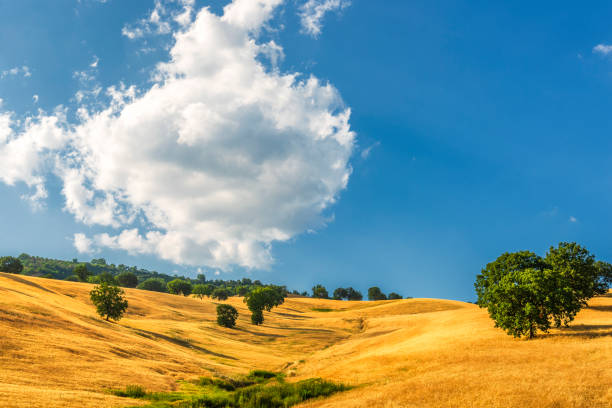 istock summer rural landscape in Val D'Agri, Basilicata 1131818434