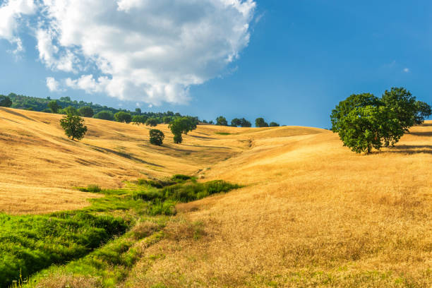 istock summer rural landscape in Val D'Agri, Basilicata 1131818508