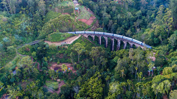 istock Famous Demodara Nine Arch Bridge. Ella, Sri Lanka. 1131820542