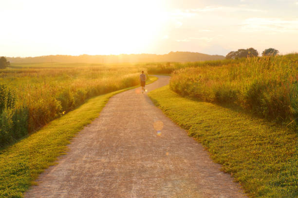 istock Countryside view with jogger on the road between grass fields. 1131825930