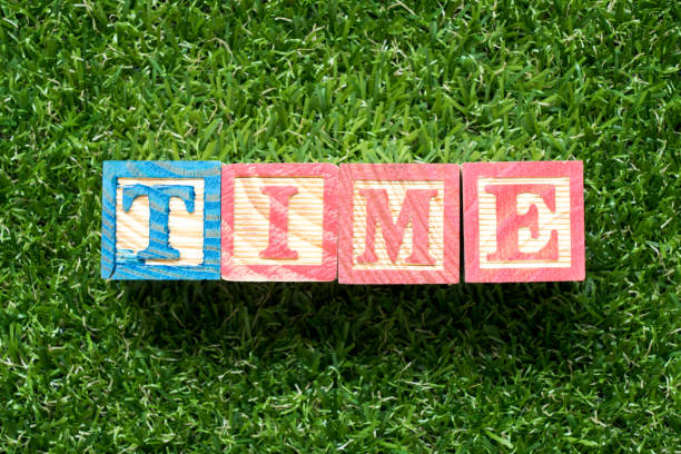 istock Color wood block in word time on artificial green grass background 1131826569