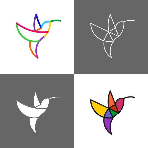 ilustraciones, imágenes clip art, dibujos animados e iconos de stock de colibrí línea colorida estilo arco iris conjunto de logotipos. - canturrear