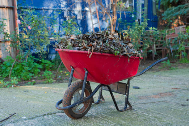Red Wheelbarrow filled with leaves stock photo