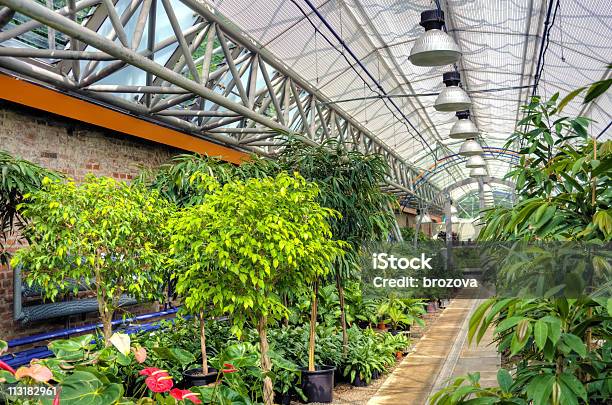 モダンな温室植物 - 屋内のストックフォトや画像を多数ご用意 - 屋内, カラー画像, ガラス
