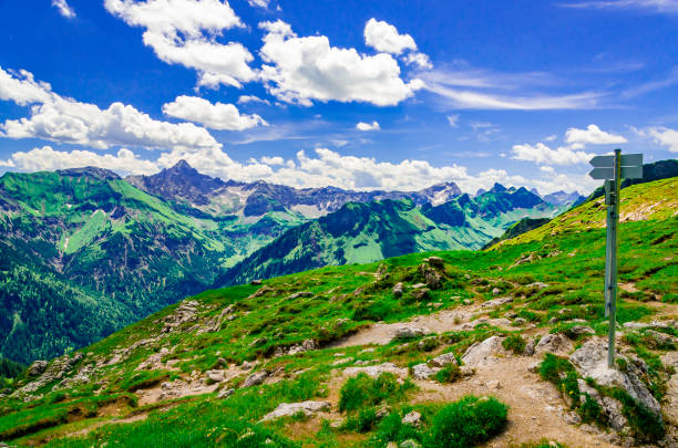 istock Hiking trail in the Alps 1131829748