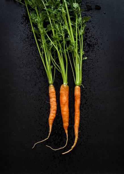 istock Young spring carrots with tops on black chalkboard from above 1131833018