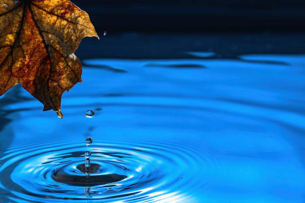 istock Amazing beautiful blue background. Drops making circles on water surface. 1131833277