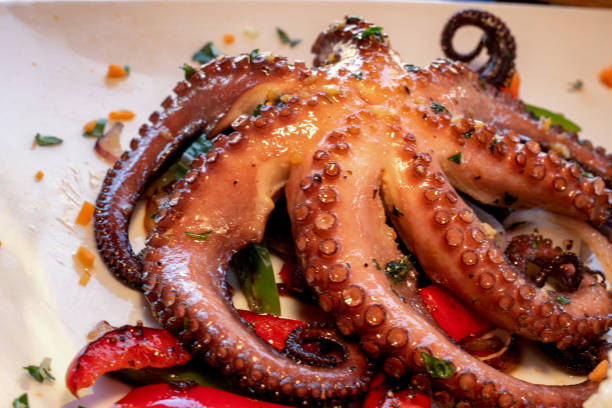 istock Fresh Caught Red Octopus At A Boardwalk Restaurant In Puerto Vallarta 1131833666