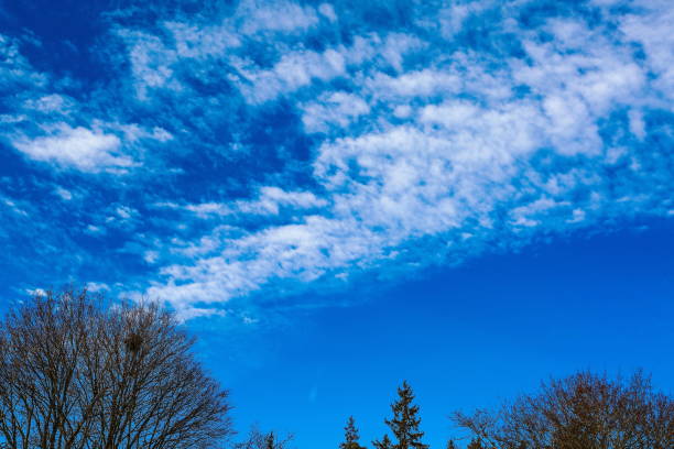 istock Gorgeous view of spring blue sky with white clouds. Beautiful nature backgrounds. 1131834626
