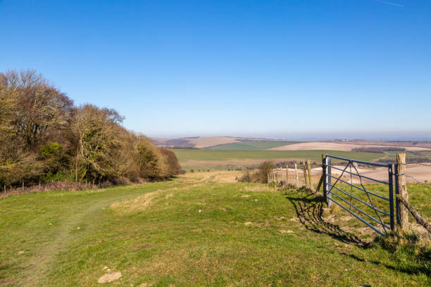 istock Fields in the South Downs in Sussex 1131835047