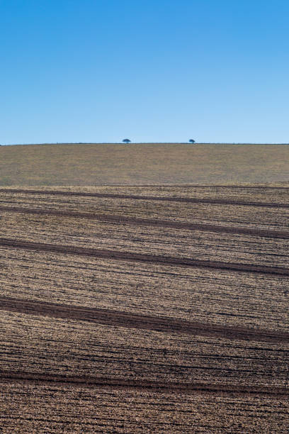 istock Ploughed Fields in Sussex 1131835102