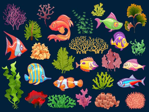 귀여운 아이 수 중 세트입니다. 어린이 고립 된 벡터 컬렉션에 대 한 물에 수족관 아기 물고기와 해 초 - tropical fish clown fish isolated animal stock illustrations