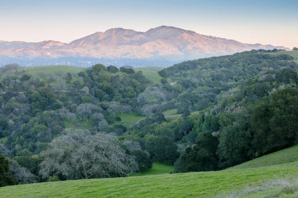 mt diablo widziany z parku regionalnego briones o zachodzie słońca. - mt diablo state park zdjęcia i obrazy z banku zdjęć