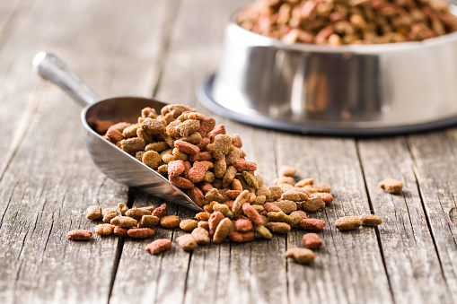 Dry pet food. Dry kibble food in scoop.