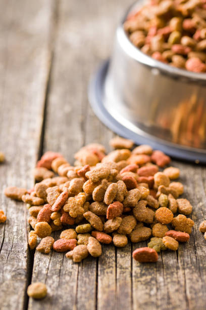 istock Dry pet food. 1131841642