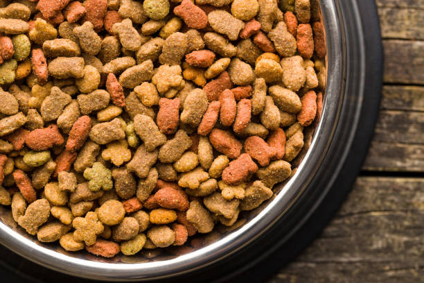 istock Dry pet food. 1131841674