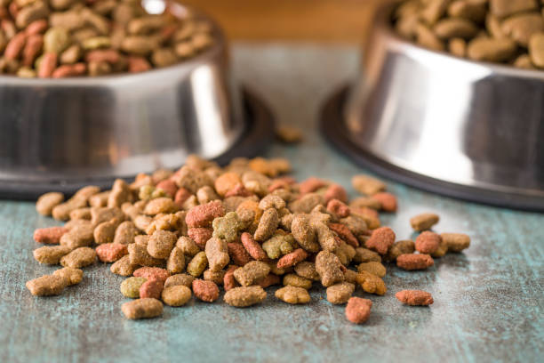 istock Dry pet food. 1131841695
