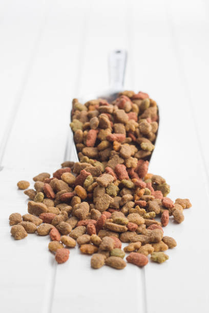 istock Dry pet food. 1131841712