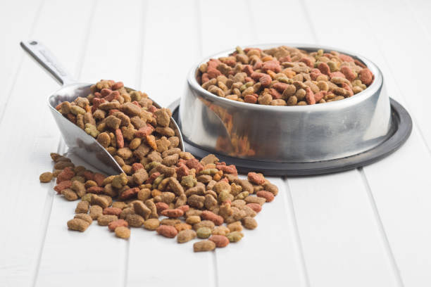 istock Dry pet food. 1131841728
