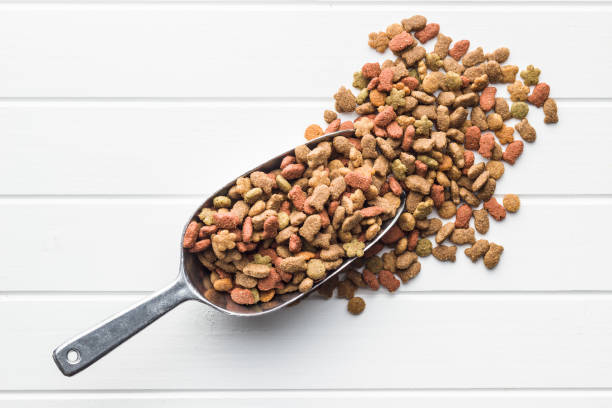 istock Dry pet food. 1131841772