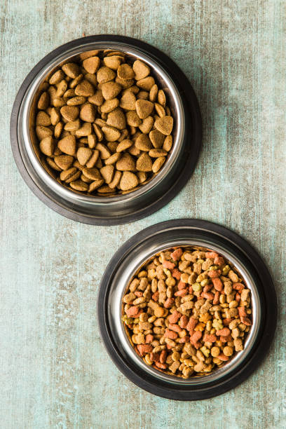 istock Dry pet food. 1131841812
